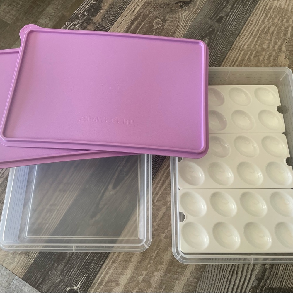 Tupperware Deli Keeper and 24 Egg Storage Container